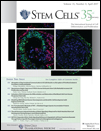 Cover of Stem Cells, featuring study using the protocol.