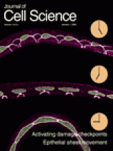 Cover of Journal of Cell Science, featuring study using the protocol.