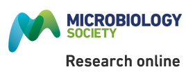 Cover of Microbiology, featuring study using the protocol.