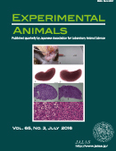 Cover of Experimental Animals, featuring study using the protocol.