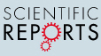 Cover of Scientific Reports, featuring study using the protocol.