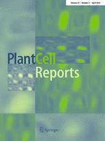 Cover of Plant Cell Reports, featuring study using the protocol.