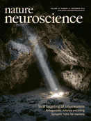 Cover of Nature Neuroscience, featuring study using the protocol.