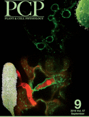 Cover of Plant Cell Physiology, featuring study using the protocol.