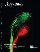 Cover of The Journal of Neuroscience, featuring study using the protocol.