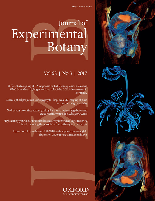 Cover of Journal of Experimental Botany, featuring study using the protocol.