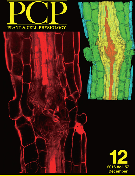 Cover of Plant Cell Physiology, featuring study using the protocol.