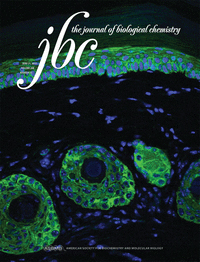 Cover of The Journal of Biological Chemistry, featuring study using the protocol.