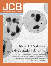 Cover of The Journal of Cell Biology, featuring study using the protocol.