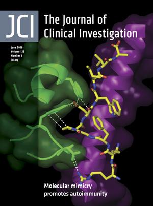 Cover of The Journal of Clinical Investigation, featuring study using the protocol.