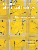 Cover of Nature Chemical Biology, featuring study using the protocol.