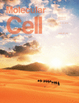 Cover of Molecular Cell, featuring study using the protocol.