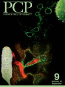 Cover of Plant Cell Physiology, featuring study using the protocol.