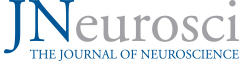 Cover of The Journal of Neuroscience, featuring study using the protocol.