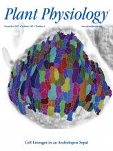 Cover of Plant Physiology, featuring study using the protocol.