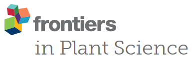 Cover of Frontiers in Plant Science, featuring study using the protocol.