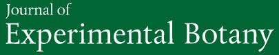 Cover of Journal of Experimental Botany, featuring study using the protocol.