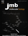 Cover of Journal of Molecular Biology, featuring study using the protocol.