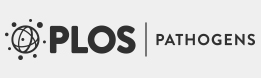 Cover of PLOS Pathogens, featuring study using the protocol.