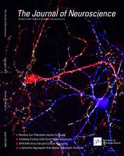 Cover of The Journal of Neuroscience, featuring study using the protocol.