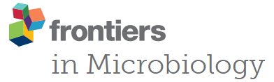 Cover of Frontiers in Microbiology, featuring study using the protocol.
