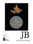 Cover of Journal of Bacteriology, featuring study using the protocol.