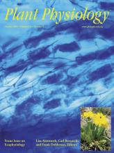 Cover of Plant Physiology, featuring study using the protocol.