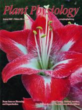 Cover of Plant Physiology, featuring study using the protocol.