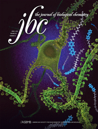 Cover of The Journal of Biological Chemistry, featuring study using the protocol.