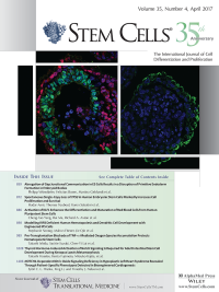 Cover of Stem Cells, featuring study using the protocol.