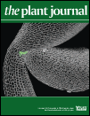 Cover of The Plant Journal, featuring study using the protocol.