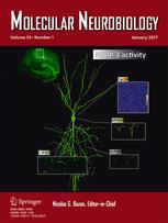 Cover of Molecular Neurobiology, featuring study using the protocol.