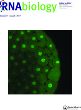 Cover of RNA Biology, featuring study using the protocol.