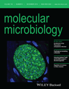 Cover of Molecular Microbiology, featuring study using the protocol.