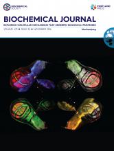 Cover of Biochemical Journal, featuring study using the protocol.