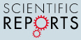 Cover of Scientific Reports, featuring study using the protocol.