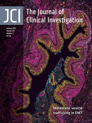 Cover of The Journal of Clinical Investigation, featuring study using the protocol.