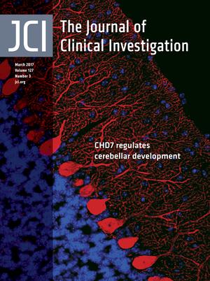 Cover of The Journal of Clinical Investigation, featuring study using the protocol.
