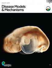 Cover of Disease Models & Mechanisms, featuring study using the protocol.