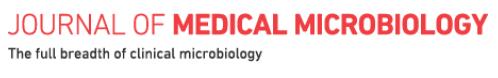 Cover of Journal of Medical Microbiology, featuring study using the protocol.