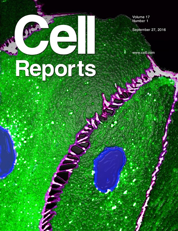 Cover of Cell Reports, featuring study using the protocol.