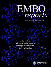 Cover of EMBO Reports, featuring study using the protocol.