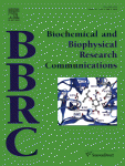 Cover of Biochemical and Biophysical Research Communications, featuring study using the protocol.