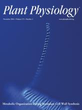 Cover of Plant Physiology, featuring study using the protocol.
