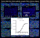 Cover of mBio, featuring study using the protocol.