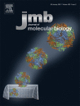 Cover of Journal of Molecular Biology, featuring study using the protocol.