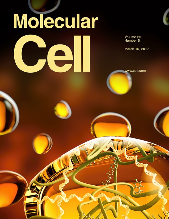 Cover of Molecular Cell, featuring study using the protocol.