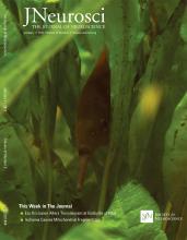 Cover of The Journal of Neuroscience, featuring study using the protocol.