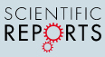 Cover of Scientific Reports, featuring study using the protocol.