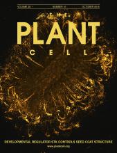 Cover of The Plant Cell, featuring study using the protocol.